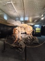 IMG_20260310_102512